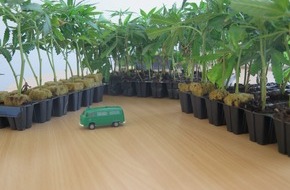 Polizeipräsidium Mittelhessen - Pressestelle Gießen: POL-GI: 105 Cannabispflanzen auf der A 45 bei Haiger sichergestellt