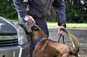 POL-OS: Banknotenspürhunde erschnüffeln über 110.000 Euro bei mehreren Durchsuchungen