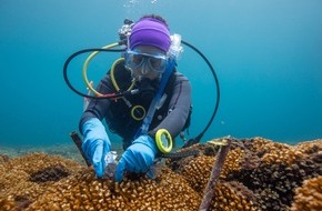 Leibniz-Zentrum für Marine Tropenforschung GmbH: Internationale Forschende fordern: Beim Ozeanschutz auf Menschen in den Tropen hören