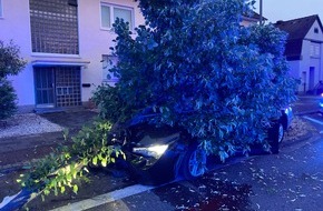Polizei Rheinisch-Bergischer Kreis: POL-RBK: Bergisch Gladbach - Nach Sekundenschlaf gegen Baum gefahren