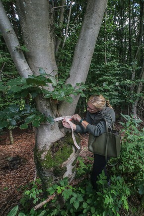 BAUHAUS Kunden erleben erfolgreichen Waldschutz hautnah