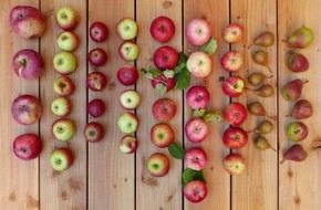 Hessisches Landesamt für Naturschutz, Umwelt und Geologie: Streuobstwiesen: Hessisches Kulturgut in Gefahr