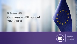 Europ&auml;ischer Rechnungshof - European Court of Auditors: Or&ccedil;amento europeu para 2028-2034: opini&atilde;o do TCE sobre o Fundo Europeu de Competitividade e o Horizonte Europa