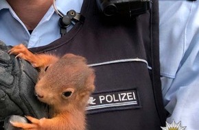 Polizeipräsidium Karlsruhe: POL-KA: Tierischer Eindringling gestellt