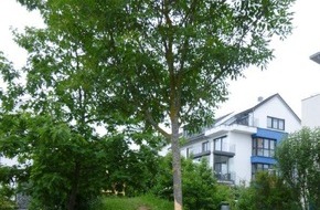 Polizeipräsidium Ludwigsburg: POL-LB: Waldenbuch: Baum und Spielgerät beschädigt