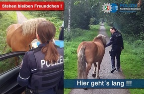 Polizeipräsidium Recklinghausen: POL-RE: Recklinghausen: Wo das Gras etwas grüner war...
