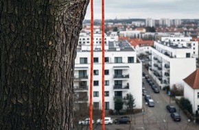 goodRanking Online Marketing Agentur: Baumpflege und Garten:: Baumabtragung per Seilklettertechnik an beengten Standorten