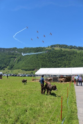 Mutterkuh Schweiz an der Iheimisch 2026