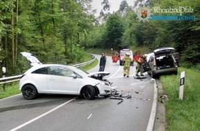 Polizeipräsidium Westpfalz: POL-PPWP: Fahrer gerät auf Gegenfahrbahn - zwei Menschen verletzt