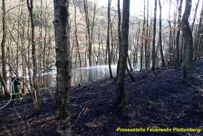 FW-PL: OT-Lettmecke. FOLGEMELDUNG. Rund 2000 Quadratmeter Waldboden gerieten in Steilhang in Brand.