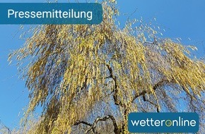 WetterOnline Meteorologische Dienstleistungen GmbH: Sie sind wieder da! -  Birkenpollen  - Für Pollenallergiker beginnt schlimmste Zeit des Jahres