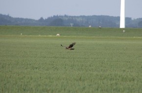 Landesjagdverband Schleswig-Holstein e.V.: Gemeinsam f&uuml;r den Schutz von Rehkitzen und Bodenbr&uuml;tern