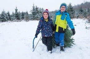 Schmallenberger Sauerland Tourismus: Besuch im Weihnachtsbaumland – wo Tradition zu Hause ist