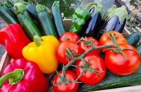 CuteSolar: Qualität und Geschmack / Auf diese beiden Kriterien legen europäische Verbraucher beim Kauf von Obst und Gemüse besonders Wert