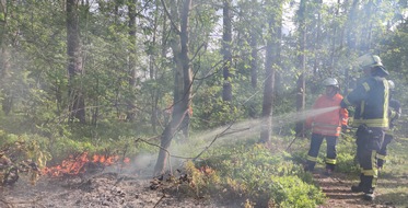 Freiwillige Feuerwehr Celle: FW Celle: Vegetationsbrand im Lönsweg