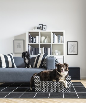 So leben Menschen in Deutschland – Der IKEA Life at Home Report 2023 zeigt‘s