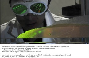 Schweizerischer Nationalfonds / Fonds national suisse: FNS: Image de la recherche avril 2011: Dynamique des fluides