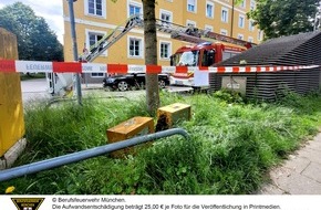 Feuerwehr München: FW-M: Riesiger Bienenschwarm im Baum (Bogenhausen)