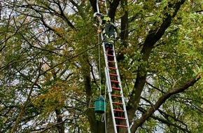 Freiwillige Feuerwehr Hünxe: FW Hünxe: Katze aus 11 Metern Höhe gerettet