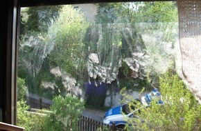 Polizeiinspektion Hameln-Pyrmont/Holzminden: POL-HOL: Waschbär als Einbrecher ermittelt / Fußabdrücke führen Polizei auf die Spur des Täters