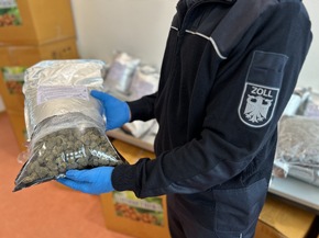 ZOLL-H: - Illegale Einfuhr von 408 kg Cannabis aus Thailand verhindert - Zollhund Emma spürte das Marihuana zwischen einer Ladung Kokosnussschalen auf - Cannabis von mind. 1,2 Millionen Euro Schwarzmarktwert