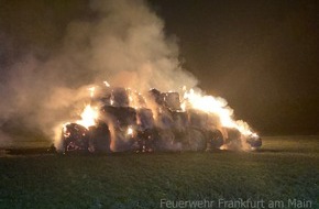 Feuerwehr Frankfurt am Main: FW-F: Heuballen brennen auf den Schwanheimer Wiesen