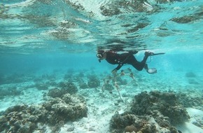 Mars Petcare: Bundesweite Suche nach Korallen-Botschafter gestartet / Einsatzort Unterwasserwüste: Helfende Hände für weltweit größtes Korallenwiederaufbau-Programm gesucht