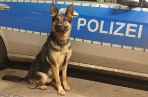 Polizei Hamburg: POL-HH: 231122-4. Zwei Festnahmen nach Einbruch in Hamburg-Neugraben-Fischbek