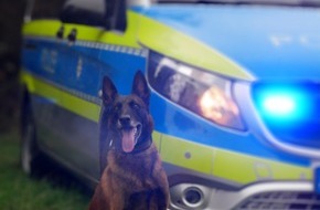 Polizei Hagen: POL-HA: Diensthund Horst stellt Tatverd&auml;chtigen nach versuchtem Einbruch in Hasper Schrotthandel