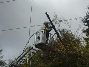 FW Lügde: Technische Hilfe / Baum in 30 KV Leitung