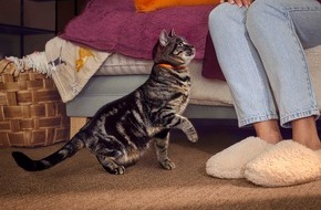 Zoetis Deutschland GmbH: Unabh&auml;ngig, aber nicht unverwundbar: Wenn Katzen Schmerzen still ertragen / Woran Katzenhalter*innen m&ouml;gliche Anzeichen von Arthrose erkennen und wie sie ihre Katze im Alltag unterst&uuml;tzen k&ouml;nnen