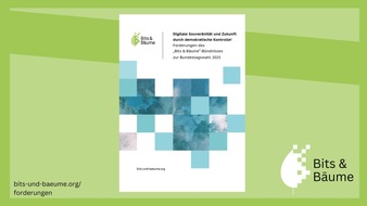 Institut für ökologische Wirtschaftsforschung: Bundestagswahl 2025 – Digitalpolitik jetzt in den Dienst von Mensch und Umwelt stellen