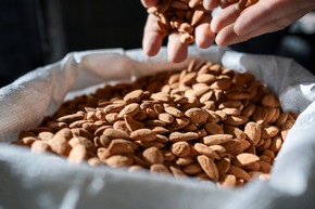 Dedicated to you: Die f&uuml;nf Dr. Hauschka Qualit&auml;tsmerkmale f&uuml;r ein sp&uuml;rbares, ganzheitliches Pflegeerlebnis im Einklang mit der Natur