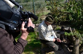 Deutscher Jagdverband e.V. (DJV): Schliefenanlagen sind tierschutzgerecht / Der Deutsche Jagdverband veröffentlicht zweites Video zur Hundeausbildung am lebenden Tier