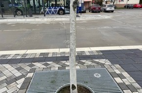 Polizeidirektion Trier: POL-PDTR: Beschädigung eines Baums am ZOB