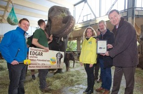 Radio TEDDY: Im Tierpark steppt der Elefant - EDGAR heißt Berlins neuer Liebling!