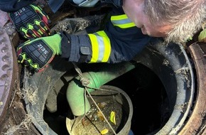 Freiwillige Feuerwehr Celle: FW Celle: Vogel aus Regenwasserrohr gerettet