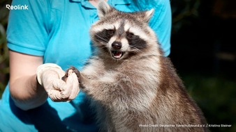 Reolink Innovation Inc.: Reolink und der Deutsche Tierschutzbund setzen Technologie f&uuml;r aktiven Tierschutz ein