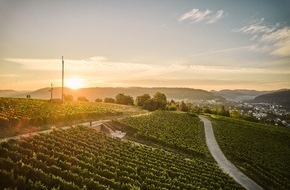 Tourismus Marketing GmbH Baden-W&uuml;rttemberg: Pressemitteilung: Klares Bekenntnis zum Weintourismus