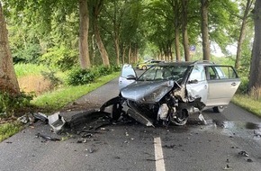 Polizeiinspektion Verden / Osterholz: POL-VER: 18-jährige Pkw-Fahrerin prallt gegen zwei Bäume ++ Ermittlungen nach Feuer an Plakat aufgenommen ++ 12-jähriger Radfahrer gestürzt ++ Land Rover kommt von Fahrbahn ab ++