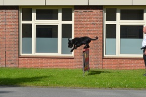 POL-FL: Polizeidirektion Flensburg - Polizeihunde bestehen jährliche Prüfungen