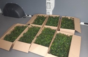 Bundespolizeidirektion Sankt Augustin: BPOL NRW: 588 Marihuanapflanzen von Bundespolizei beschlagnahmt - 2 Drogenschmuggler festgenommen
