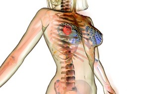IMBA Institute of Molecular Biotechnology: Wie Hormone Brustkrebs auslösen können / Wiener Forscher klären den Zusammenhang und eröffnen Möglichkeiten zur Prävention (mit Bild)