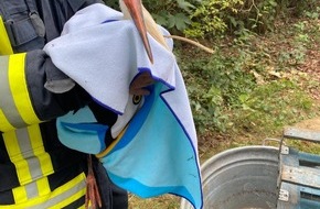 Feuerwehr Schermbeck: FW-Schermbeck: Feuerwehr rettet hilflosen Storch aus Birke