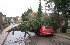 Polizeiinspektion Hameln-Pyrmont/Holzminden: POL-HM: Pressemeldung der Polizei Bad Pyrmont - Baum stürzt auf Pkw