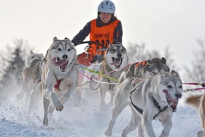 Winterspektakel für Mensch und Tier - Erster Schlittenhunde-Weltcup in Bad Hindelang seit 2018 – Kinder-Wettbewerb auf abgesicherter Strecke