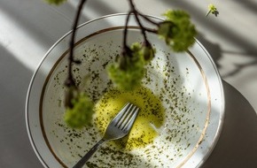 Olive Oil World Tour: Olivenöle aus Europa / So gut sind sie für unsere Ernährung