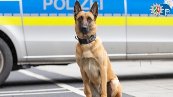 Polizeipräsidium Oberhausen: POL-OB: Schlägerei im Königshütter Park - Polizeipräsenz verhindert Schlimmeres