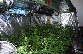 Polizei Rhein-Erft-Kreis: POL-REK: Cannabispflanzen entdeckt - Frechen