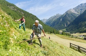 Maschinenring Österreich: Mithelfen am Bergbauernhof